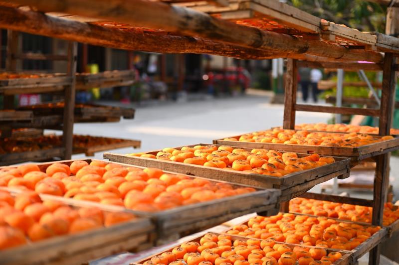 SSDfA2QvbJslc0Hta5SLDsKOv8rFFSzkJGMMsRULDqyIi9tSjdOAPLc8s09fg8TF