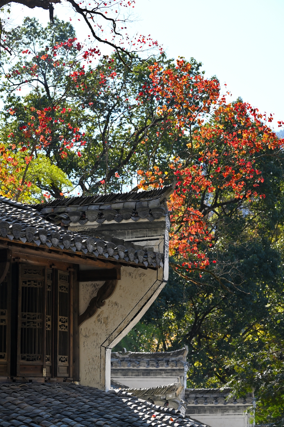 RpYyI_SOyXMLMEZVCxqnrJaW9F4c1O-lXkbGRBJ9yb3eIcXjz0SkT_7bUiHnzzty