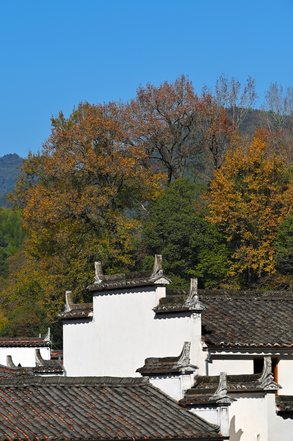 vW4HtjwSF5sIET_VmwBO9qwdOiWZ3Lzdxrl4Qp7yo7vCIjNUspLT1taC5VvMtOEP