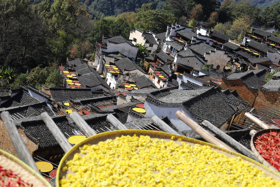 Xg39Uj6mA-NdW2JDxiaFtxeK4YfQyjeDf8QL3R_lAfHMaJFYBUkeAhII7C7LX2aO