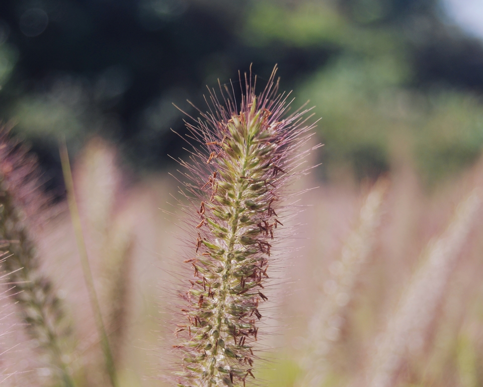 z2JjRTna-jPIusxyfUnF8w4QRqaHObvv8CRKi_sby7-wT6Ajf5gKd8DOk20ONy5t