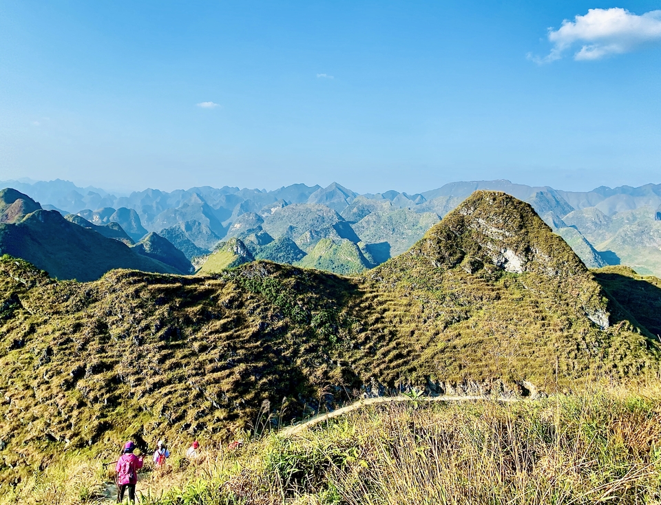 61QJOy0gfhXSIk5_994rM3ziozxh0pDD7tgsKc4a-ICk4VrfHL1z2r7HcKVCBDbM