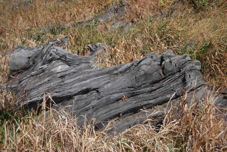 -3BuCe4nRCHby5rVTV59YoGf8_m22ERSqeAATn5eiNJSl5K_A9uVCIv0OFh17rKc