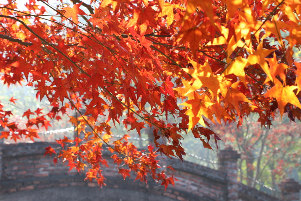 wMvtZFkd4EEwmAQTjqnxwgXoJ3hzrXp0dSGKr3hxZFUpDFj0edx_EG3Oa12Ad1na