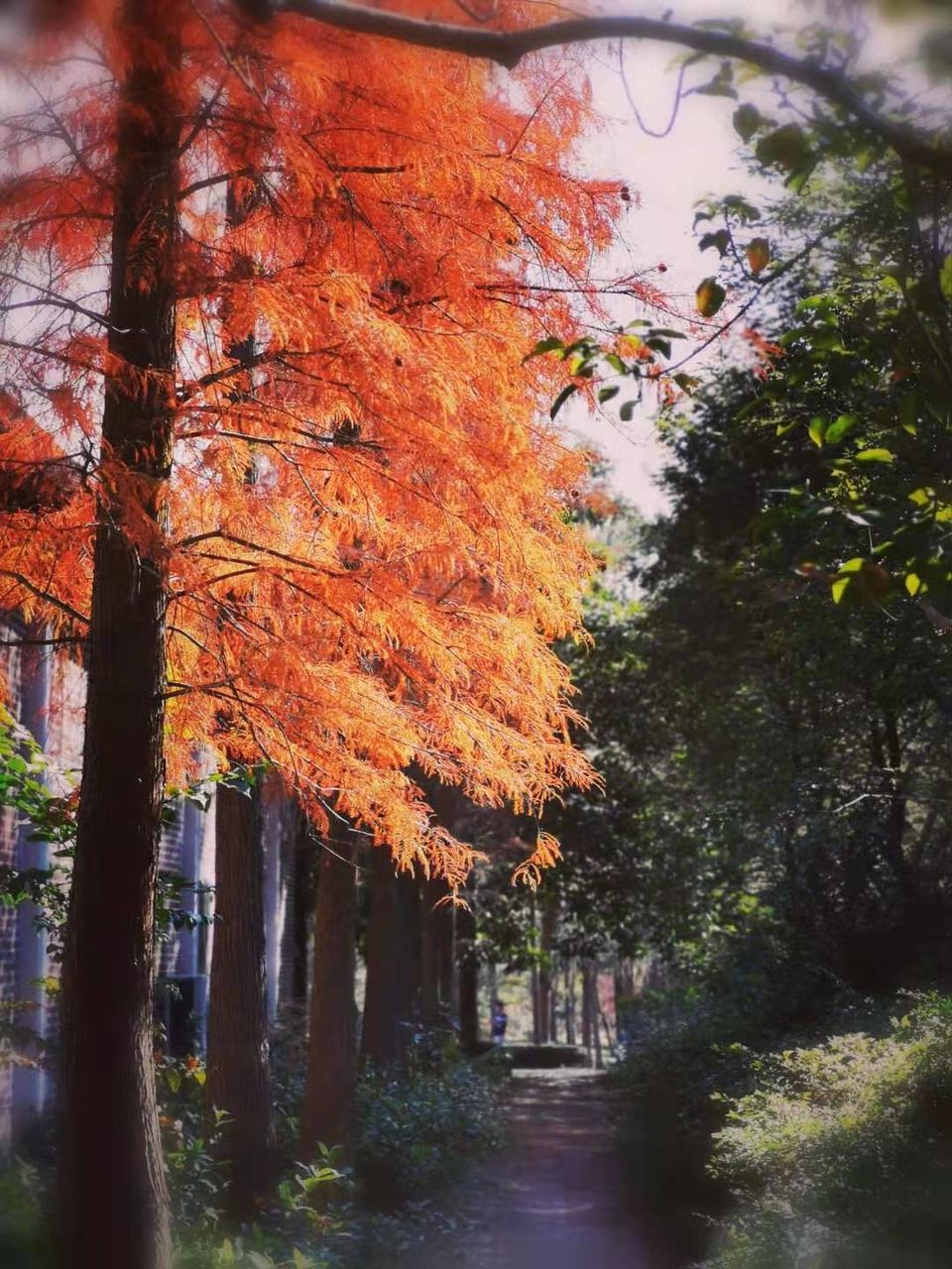 g7B6y_emL06ai56_WnQCLoGt5iTfnK8WO8TBBU_AbOw1mY_oFWA9rJZzubs8Gcsb