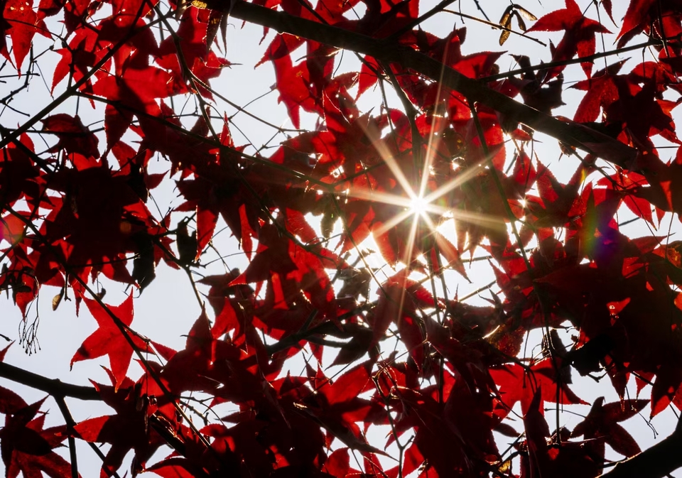 grSbMElkLPt6k1w68iRGHzMWaiDElXZodDOubApPzNcEjAhpYItRxf3Vmi28NZRZ