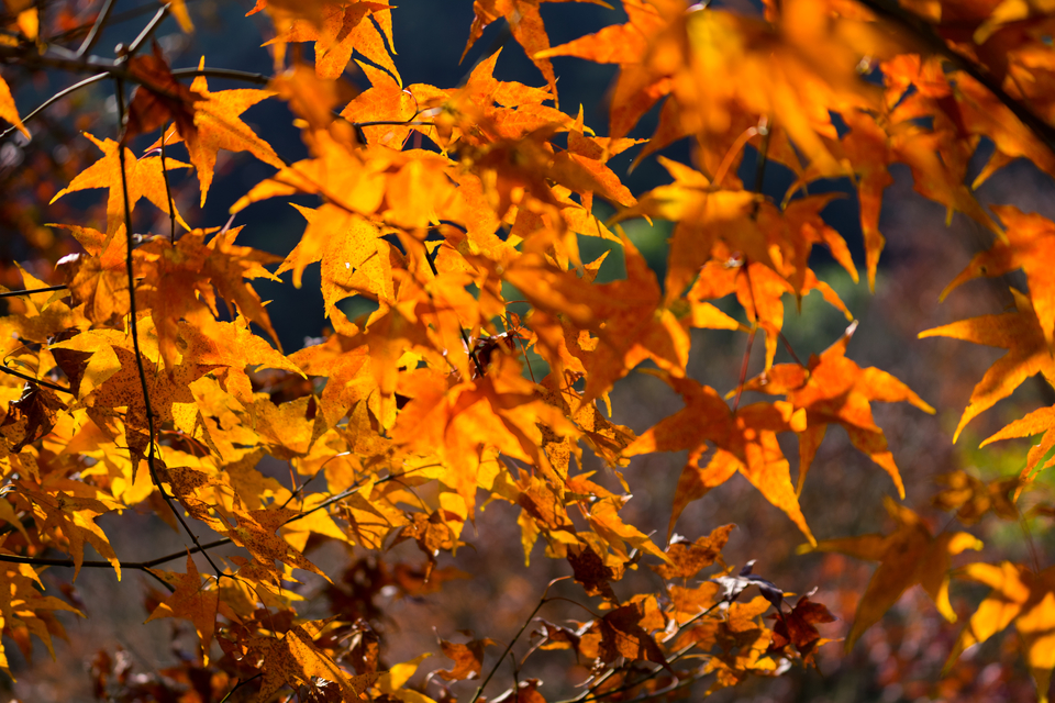 -s-YUMn6nVmphu6uqEYvMKpsyDNjrexhIvGFtFOoRPdad_jn981FS3HnxomDqZ6g