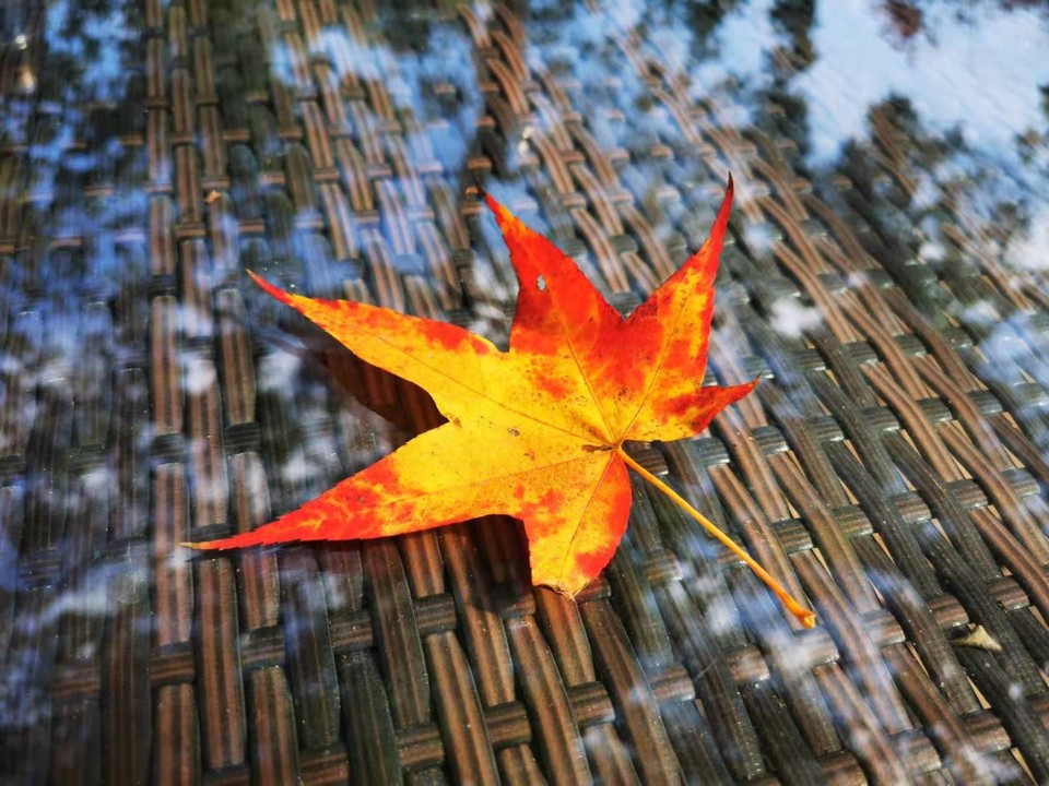 FSpxwug8e3Cxekusgo3DEIWSoB1WAe3GkHZTcCQCJGip81EmClJjd5whXbORcDIh