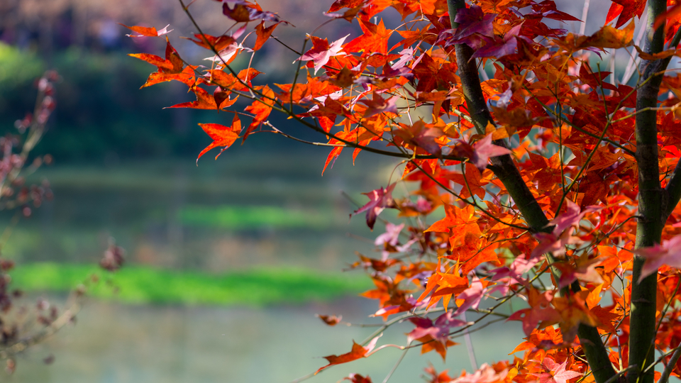 03TAN3kqYGRNTTqcF3gD99eoYuxL2sBodk1NjDXefA1dsfK1hkAodFp6Bmy9eZ3i