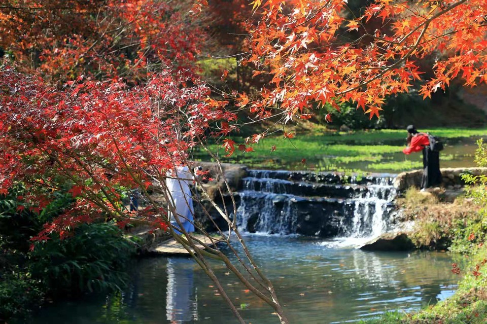 -tADTsfDRcDPaw1v6QabcuRYUsb0QcEmFPjD9Ih_jyKNfJqNaTYVu_Bfkge4zcLw