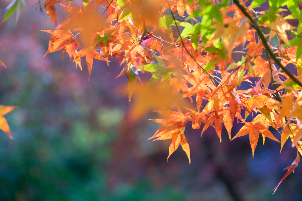 vj0RsOy06wQYU7VIB7NPvENOhe2PMH62tBvw3tYzsxftebtlCRN48vgGfWDOZ1xb