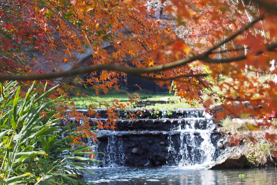 -JF-3dHiYGXoEVGf7FpnS9kG-6d45rCePx5qfcQc9BoUZWQYw8ZYLnS9rM2x69Rf