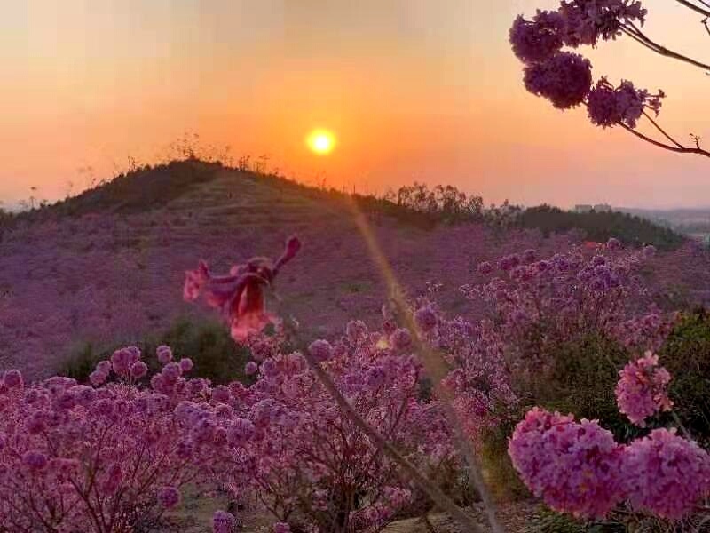 dx3o2Ygc-UAArGfMs-foE9_3NVsDRwo70yuDuRGn1OBO1XQ65yWbzsmMWEnUTdp3