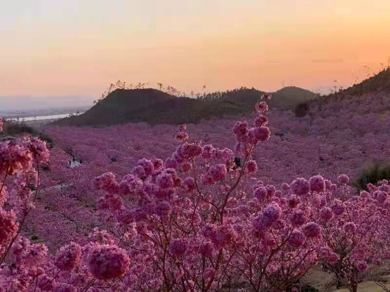 OcIrwtGZndSbOCHbiaaFkYCHWlPChu1WGQWjJtkIrZhumfiueB4KWAI5XWmx0wQ6