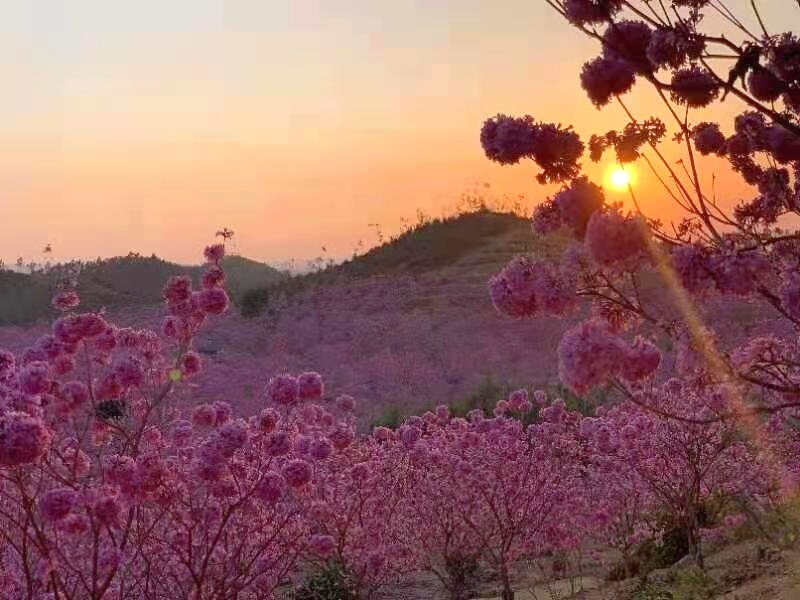 FMVZHfpEcbqcf72VgbeejaZ2mhLoolKGIuAgcbf8-9FMfZtIDdaw9M-dlGhAqt5F