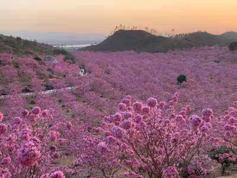 1wIOr19r7qE1NzVxRi0O0FJqzI8oKpEh2gM7HlLmafGAVducaK0Ftrr_94vpfY8s