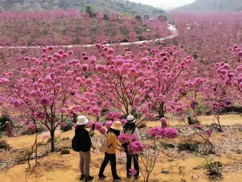 cLc2SJN45qtvWgtsYNL9jT0ZmyMC8m4puseKRvxl54V2lt5L_zZmN5pawIsUcC_1