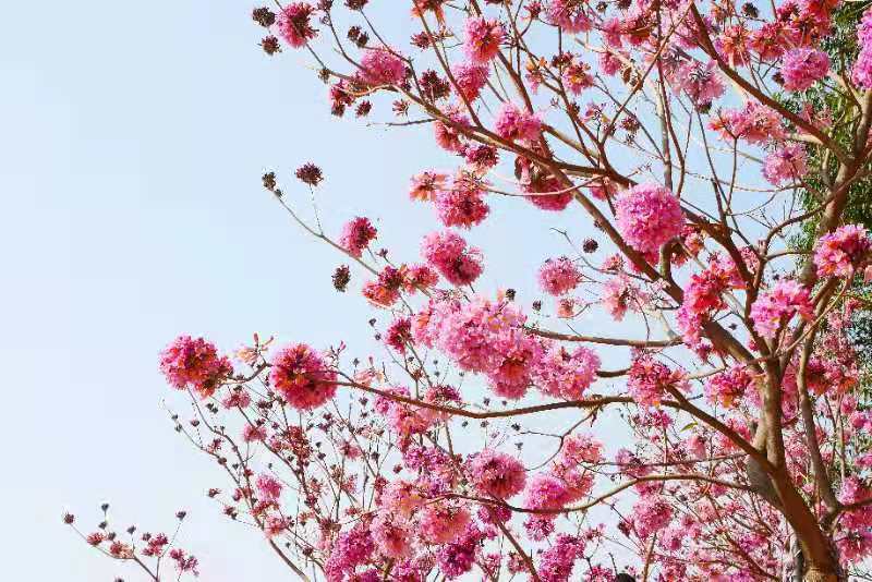 VLimIh5ml9XOVa4EFjnoWETDLEF8jKNEKfp0BDpqhR8YwUACuV5Fyzbdk6nmT_Xr