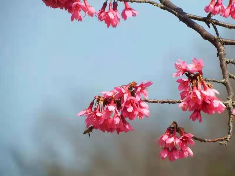 1d-CVfKyCuvymDrgSw-9UCpGv26qG7ShOTZ_aOziLbS9tEeM80-lDK45wi-SKKyx