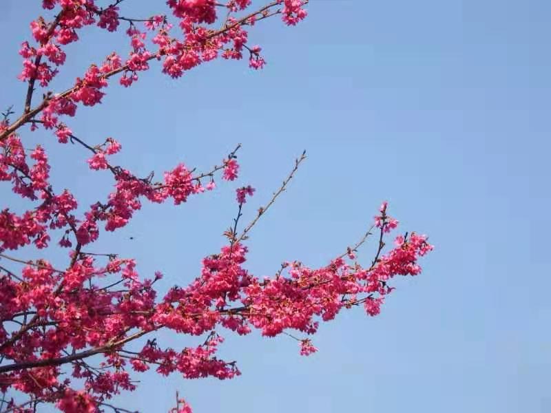 Oiryvs6sW8nRAMvj7_WdryzjYSCCJ1r64iGcJimYNAJaKg1kmpHH490DyNRXDICF