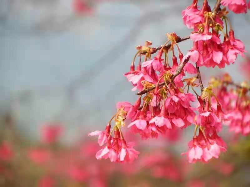 vk0Zn-5FWRF_R_8U_SvjR-7VAMm5H-r5fe6JpIFM_NDHdlK51Tf-XP6JQ-7oMIq6