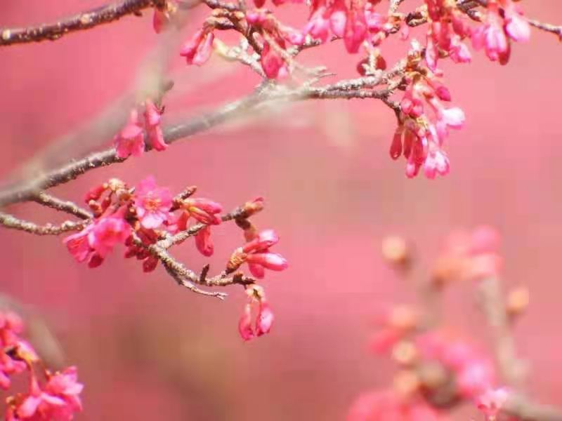 MkCAFvfluAv5-Zhq0Fchd1O-tk4qBrTOFgAeVL23VF-l_EI_zHQ7AX_6K-JnUbf7