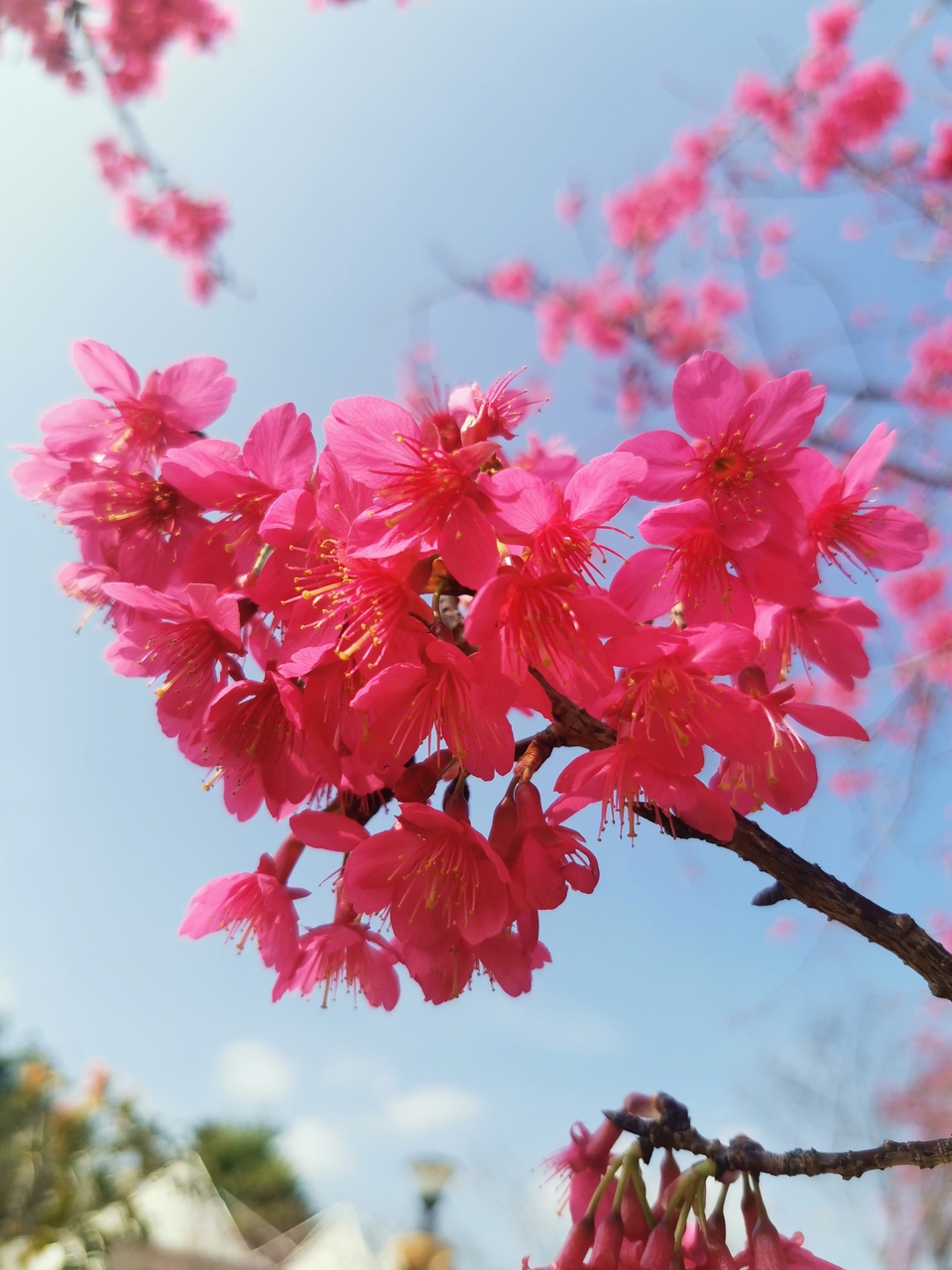 xwPjaP2dTtzq_eCfC7TxntJhw4KFpeLQmFZkT94MCeFJ3n84Qt5Z5-ezXp2eXzoQ