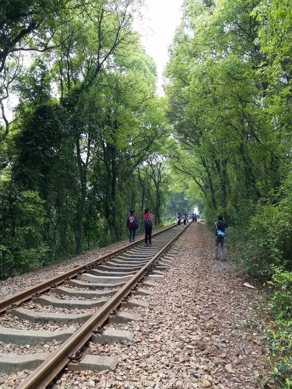 mmexport1491196698312