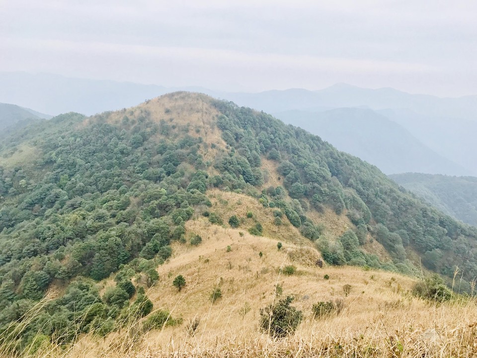 mmexport1514954323292