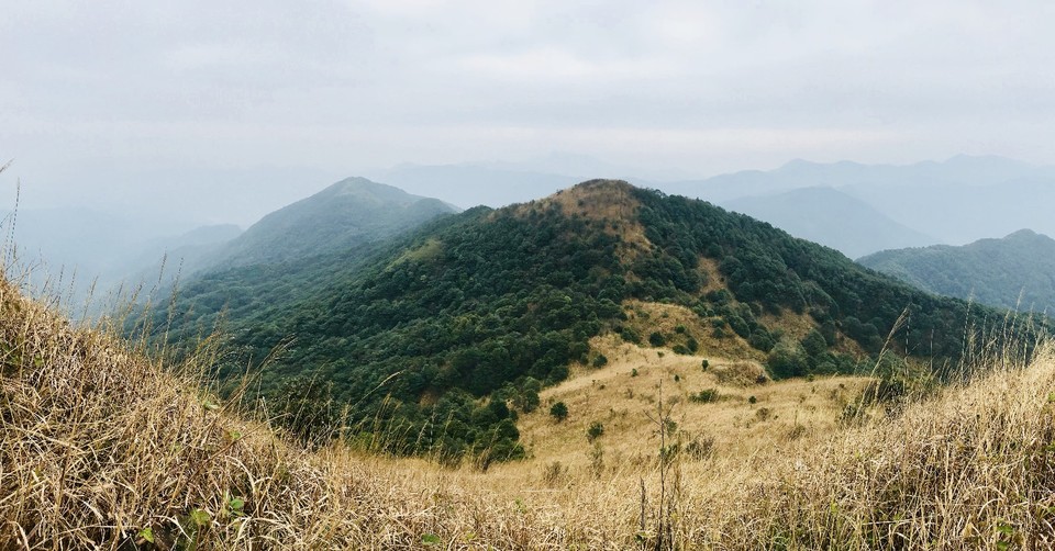 mmexport1514954310092