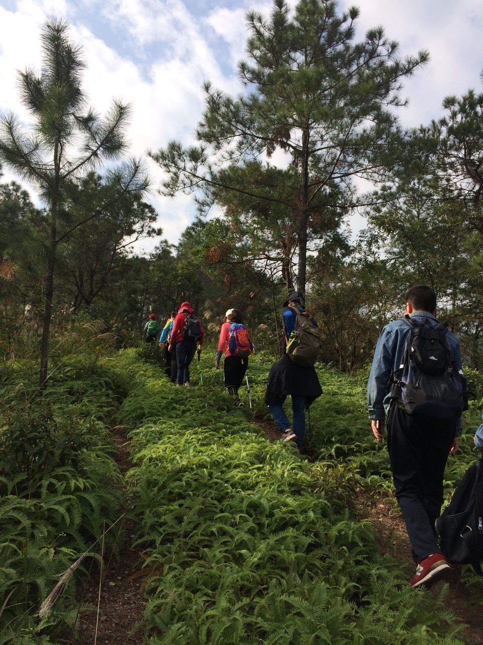 8331A73B-CDA0-4AFA-964A-0FDC73C2D5C7