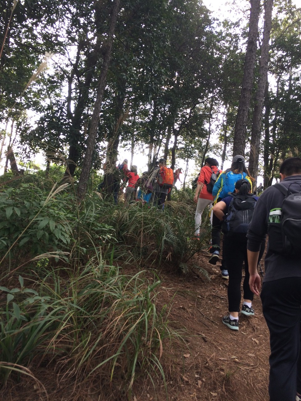 D96990C6-F0A3-4E08-B8E5-5088629D19DC