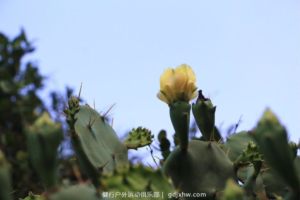 mmexport1493798055938