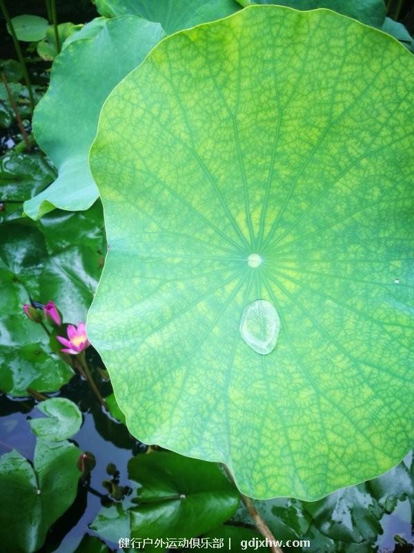 mmexport1494163437320