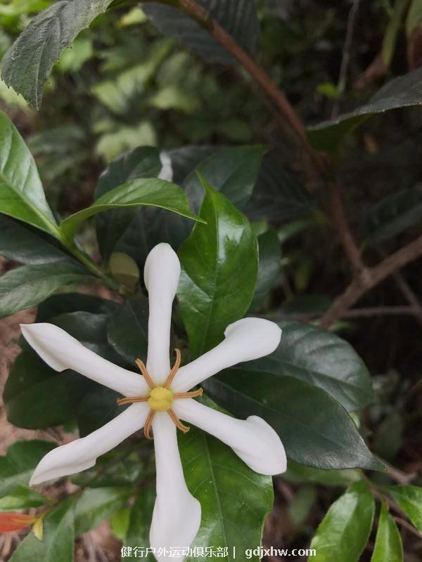 mmexport1494153202507