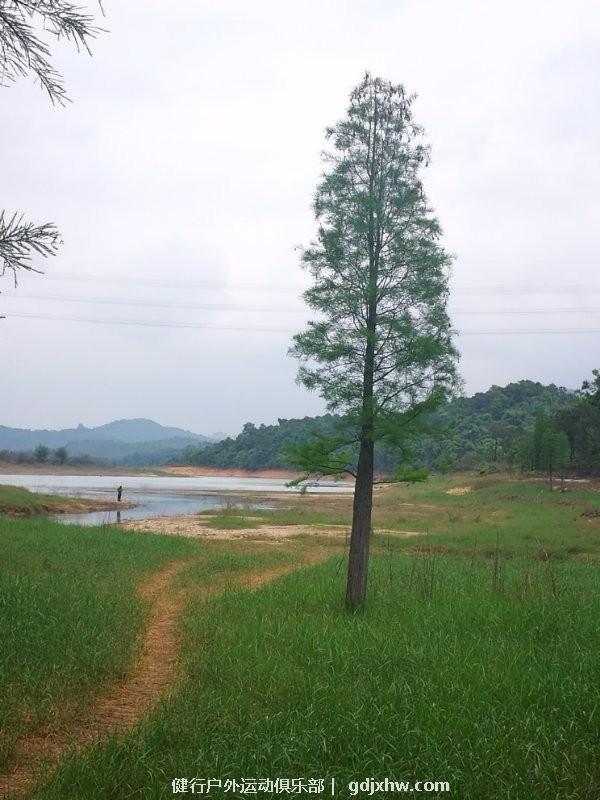 mmexport1494163423336