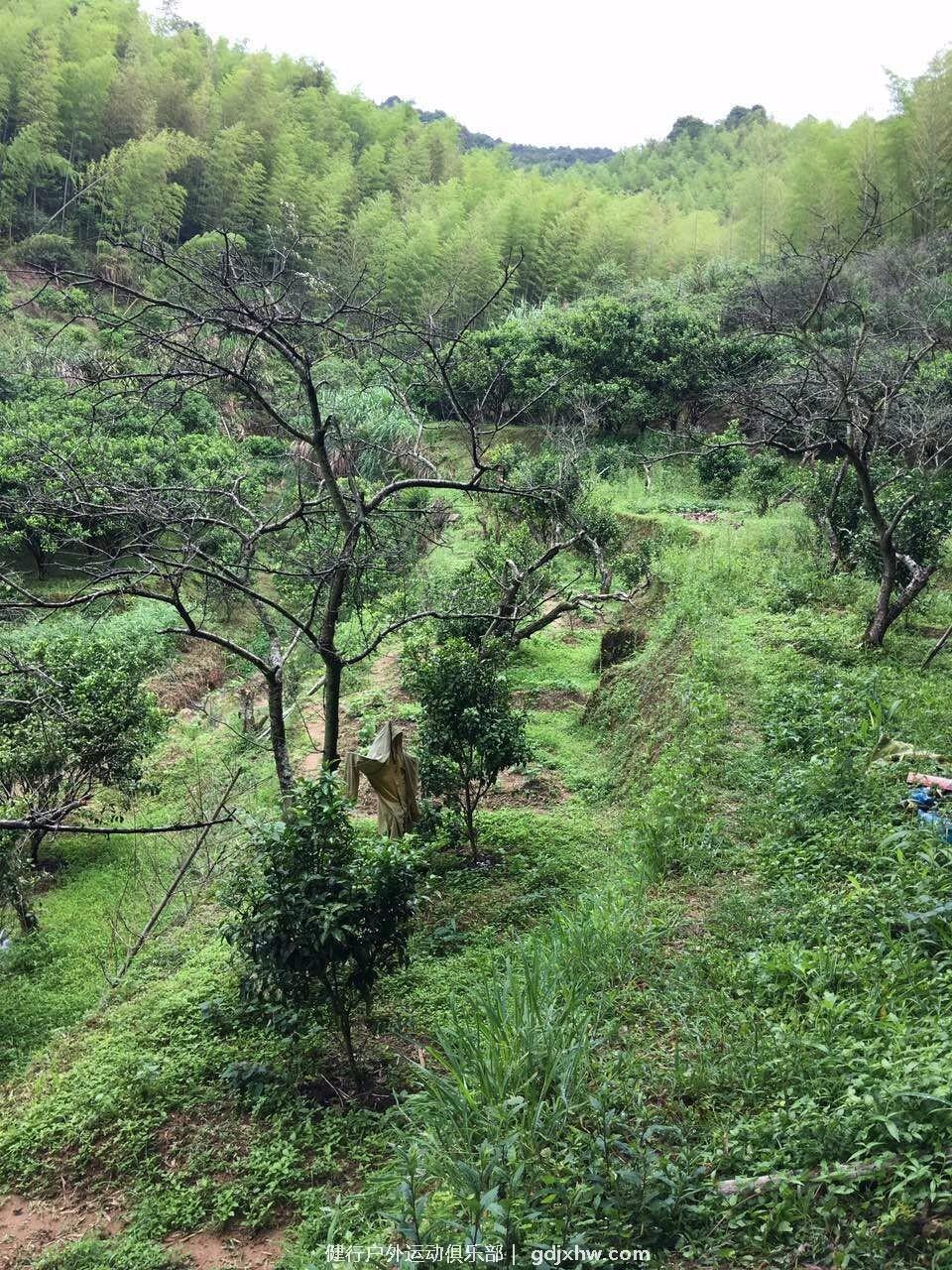 mmexport1495373570611