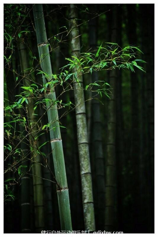 mmexport1495373453311