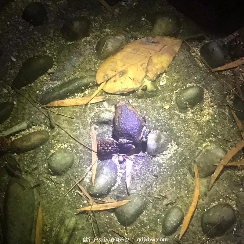 mmexport1500205528872