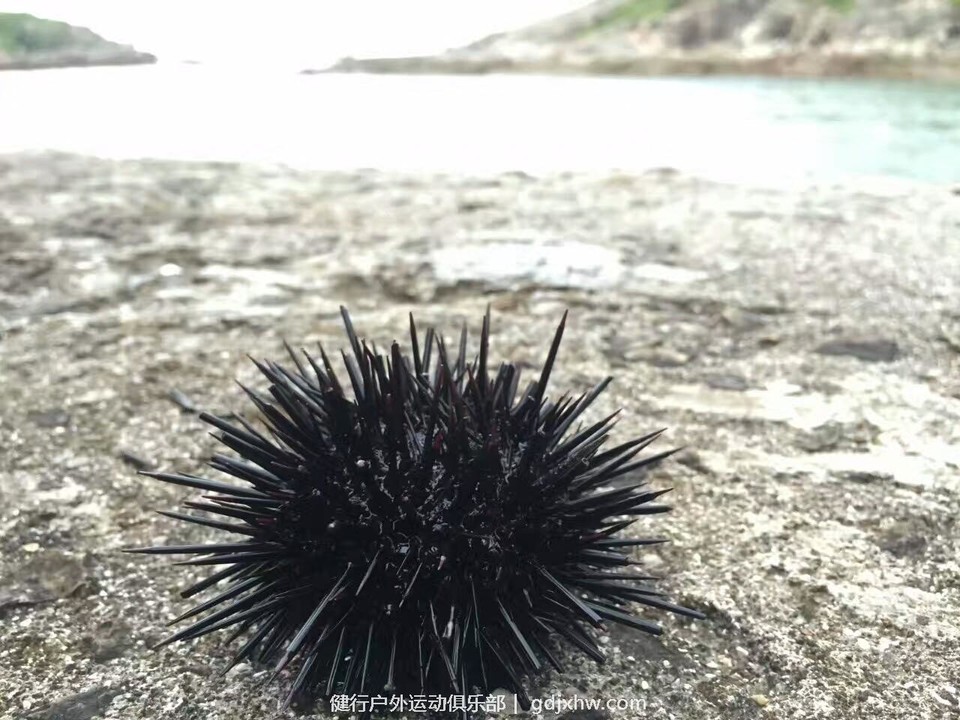 mmexport1500202401493