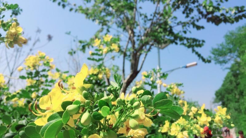 mmexport1508686779040