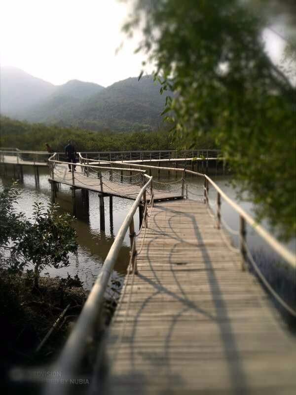 mmexport1509382911488