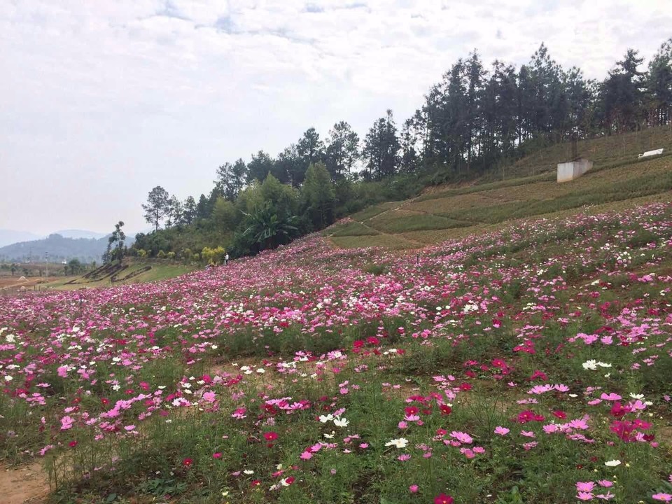 mmexport1509945004981