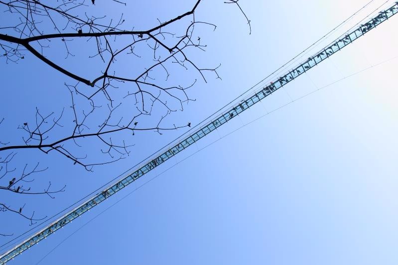 mmexport1514902577033