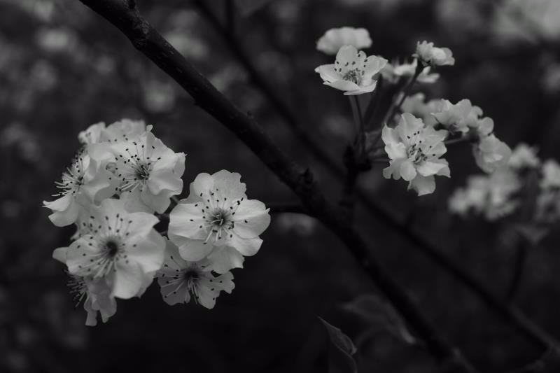 mmexport1520227453910