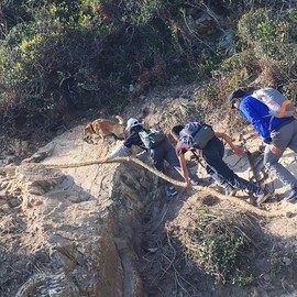 mmexport1520862073204