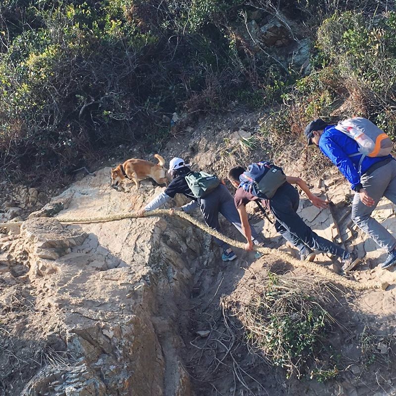 mmexport1520862073204