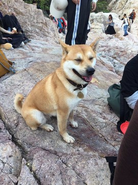 mmexport1520790282637