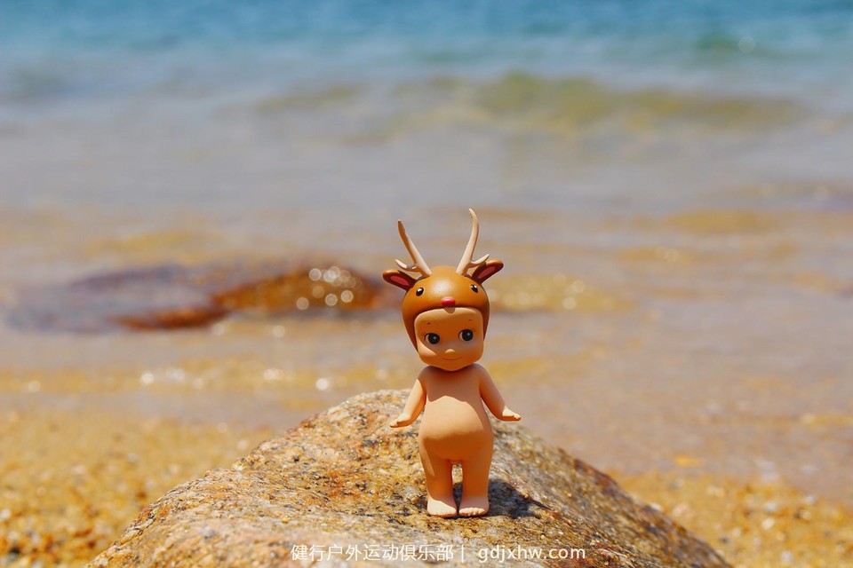 IMG_2646_mh1495977607992