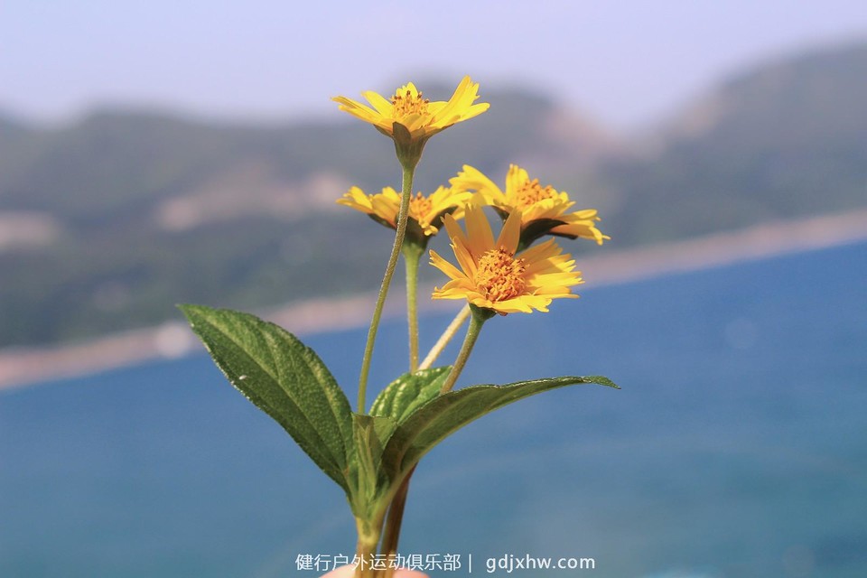 IMG_2808_mh1495967486071